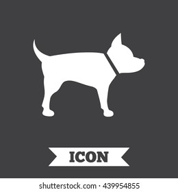 Dog sign icon. Pets symbol. Graphic design element. Flat pets symbol on dark background. Vector