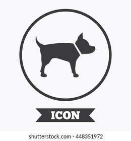 Dog sign icon. Pets symbol. Graphic design element. Flat symbol in circle button. Vector