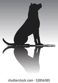 Dog Silhouette