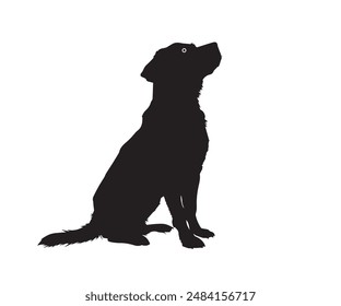 Dog silhouette animal, silhouette, dog, vector, black, illustration, mammal, cat, animals, pet, wild, isolated, white, nature, lion, icon, fur, panther, wildlife, symbol, tail, canine, predator, zoo