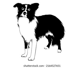 Dog Silhouette Art Drawing Vector Stock Vector (Royalty Free ...