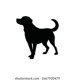 Dog Silhouette black vector design. 