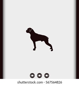 Dog silhouette. Boxer icon.