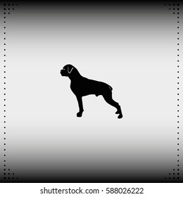 Dog silhouette. Boxer icon.