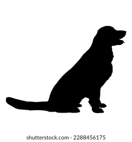 Silueta de perro. El labrador de raza de perro está sentado. Animal vector. Mascota