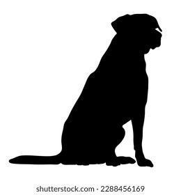 Dog silhouette. Dog breed. Vector Animal. labrador is sitting