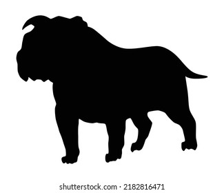 Dog Silhouette, Bulldog Breed. Side View Pet Stand Icon In Black Color. Make Used For Dog Show, Competition, Pet Store, Guide Dog, Dog Walking. Domestic Animal Isolated On White Background