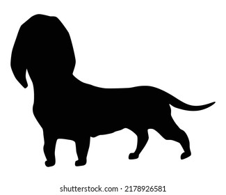 Dog Silhouette, Dachshund Breed. Side View Pet Stand Icon In Black Color. Make Used For Dog Show, Competition, Pet Store, Guide Dog, Veterinary. Domestic Animal Isolated On White Background