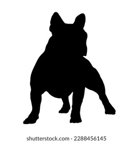 Dog silhouette.  French bulldog Dog breed. Vector Animal. Pet