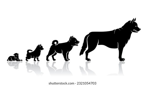Dog Silhouette Growth Stages, Isolated Illustration