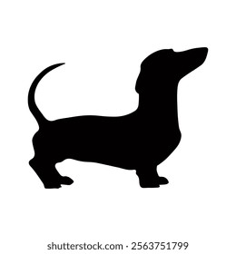 Dog silhouette isolated on white background. Dachshund silhouette