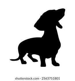 Dog silhouette isolated on white background. Dachshund silhouette