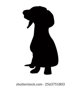 Dog silhouette isolated on white background. Dachshund silhouette