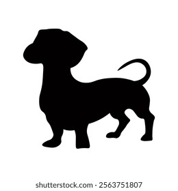 Dog silhouette isolated on white background. Dachshund silhouette