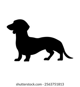 Dog silhouette isolated on white background. Dachshund silhouette