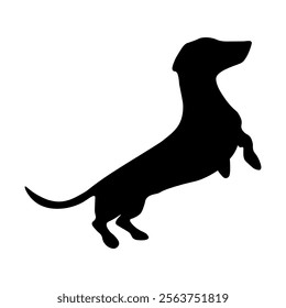 Dog silhouette isolated on white background. Dachshund silhouette