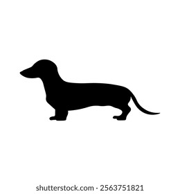 Dog silhouette isolated on white background. Dachshund silhouette