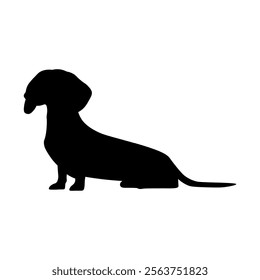 Dog silhouette isolated on white background. Dachshund silhouette