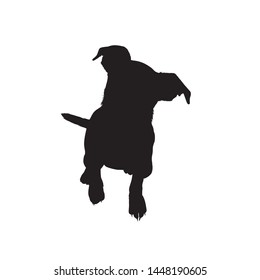 Dog silhouette jack russell silhouette with white background - Vector