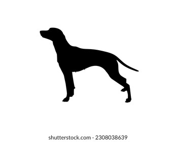 Dog Silhouette for Logo, Art Illustration, Apps, Pictogram, Website, or Graphic Design Element. Vector Illustration 