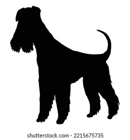 Dog Silhouette, Mittelschnauzer Or Airedale Terrier Breed. Side View Pet Stand Icon In Black Color. Make Used For Dog Show, Competition, Store, Guide Dog. Domestic Animal Isolated On White Background