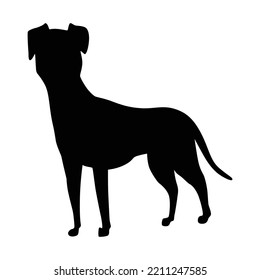 Dog Silhouette, Mongrel Breed. Side View Pet Stand Icon In Black Color. Make Used For Dog Show, Competition, Pet Store, Guide Dog, Dog Walking. Domestic Animal Isolated On White Background