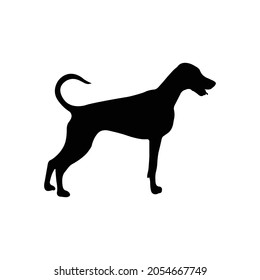Dog Silhouette on isolated background. Vector drawing
