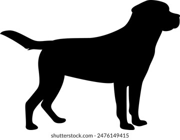 Dog silhouette on white background. Vector Illustration.