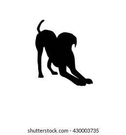 dog silhouette on white background