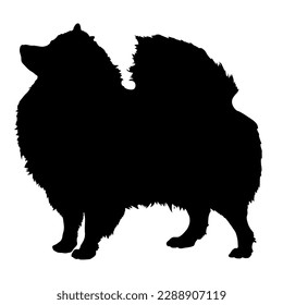  Dog silhouette. Pet. Pomeranian Spitz. Vector isolated. Dog breed