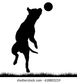 Dog Silhouette Playing With Ball