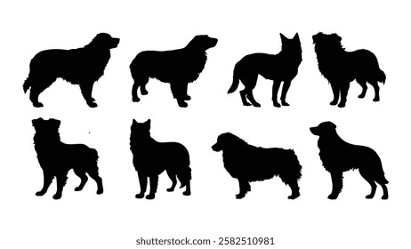 dog silhouette set australian shepherd vector design illustration