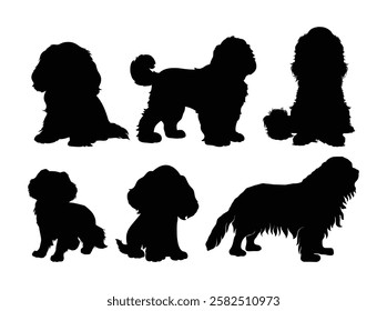 dog silhouette set cavalier king charles vector design illustration