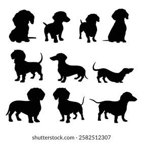 dog silhouette set dachshund vector design illustration