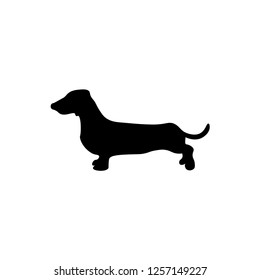 Dog silhouette sign. Dachshund