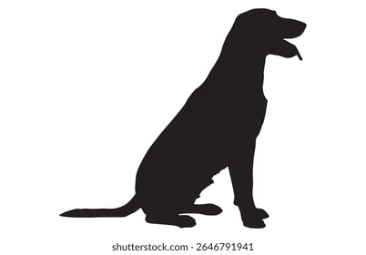 Dog Silhouette Sitting Calm Pose