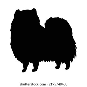 Dog Silhouette, Spitz Breed. Side View Pet Stand Icon In Black Color. Make Used For Dog Show, Competition, Pet Store, Guide Dog, Veterinary, Dog Walking. Domestic Animal Isolated On White Background