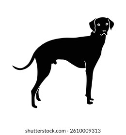 dog silhouette vector black and white