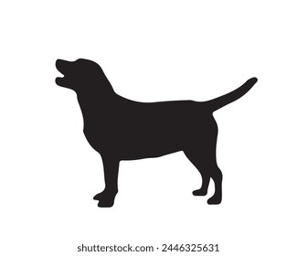 Colección de Vector de silueta de perro sobre fondo blanco. Ilustración vectorial de trabajo de arte canino.