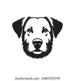 Dog  silhouette vector design eps