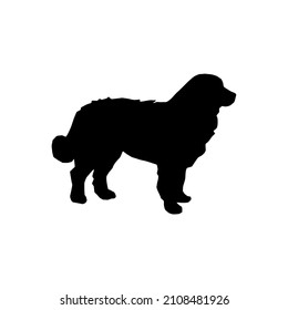 Vector de silueta de perro aislado en fondo blanco