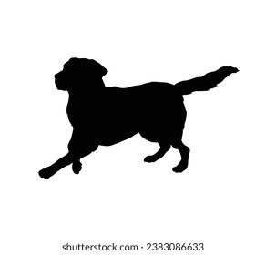 Dog silhouette. Vector silhouette of dog on white background. black dog isolated on white background. cutout dog. hand drawn design. vector illustration.