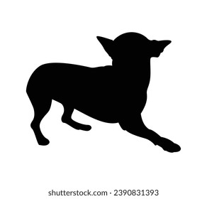 Silueta de perro. Silueta vectorial de perro con fondo blanco. perro negro aislado de fondo blanco. ilustración vectorial. perro de corte. diseño dibujado a mano.