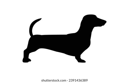 Dog silhouette. Vector silhouette of dog on white background. black silhouette dog isolated on white background. vector illustration. cutout dog. pet hand drawn design.