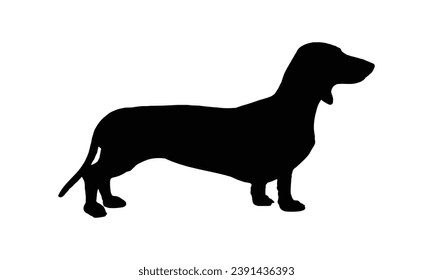 Dog silhouette. Vector silhouette of dog on white background. black silhouette dog isolated on white background. vector illustration. cutout dog. pet hand drawn design.