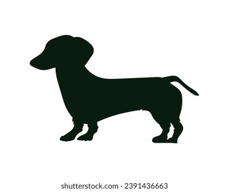 Silueta de perro. Silueta vectorial de perro con fondo blanco. perro de silueta negra aislado en fondo blanco. ilustración vectorial. perro de corte. diseño dibujado a mano para mascotas.