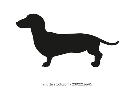 Dog silhouette. Vector silhouette of dog on white background. black silhouette dog isolated on white background. vector illustration. cutout dog. pet hand drawn design.