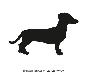 Dog silhouette. Vector silhouette of dog on white background. black silhouette dog isolated on white background. vector illustration. cutout dog. pet hand drawn design.