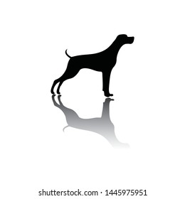 Dog silhouette vector with shadow, use for logo or another purpose.