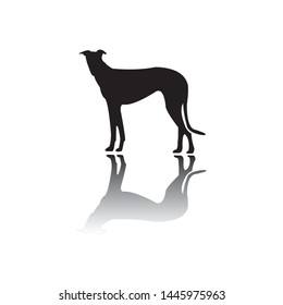 Dog silhouette vector with shadow, use for logo or another purpose.